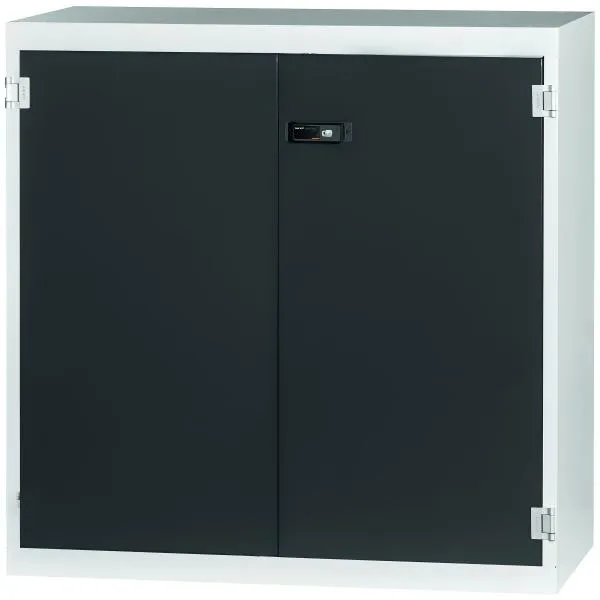 Base cabinet with Plain sheet metal swing doors, Height_ 1000mm.webp